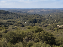 Ford Ranch